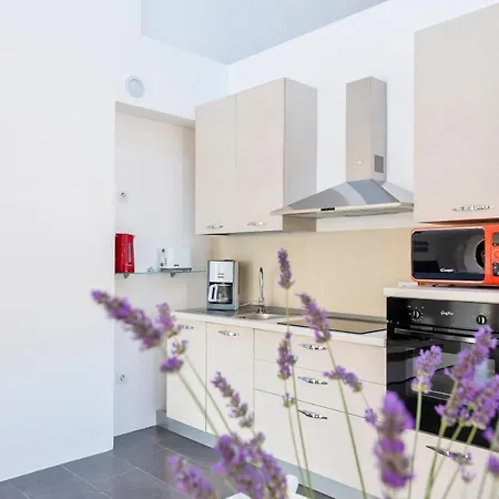 Lozna Apartman Postira